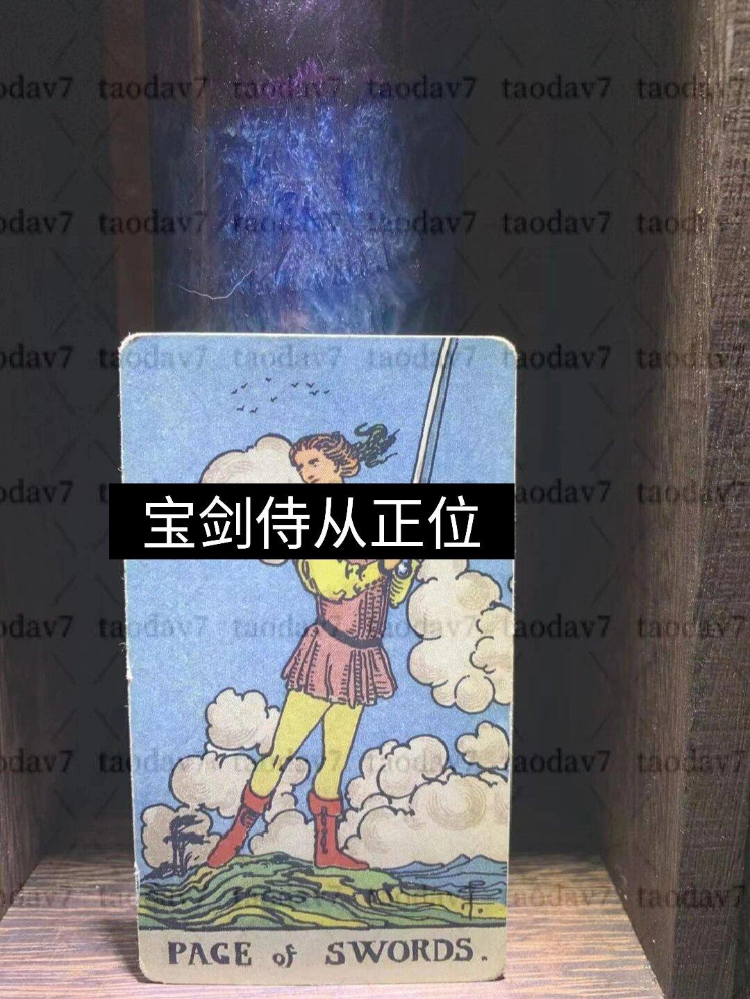 宝剑皇后/王后正位|逆位牌面牌义解读