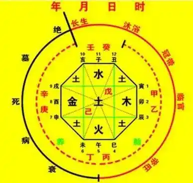 生辰八字木太多怎么办_八字木多好吗_一个人的八字木太多怎么办
