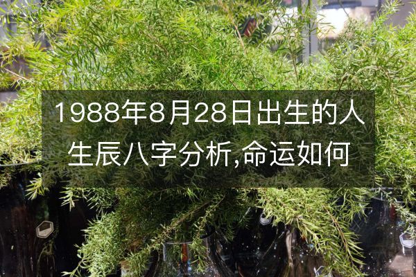 生辰八字木太多怎么办_一个人的八字木太多怎么办_八字木多好吗