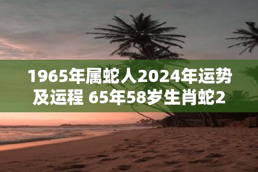 2024年生肖运势及运程