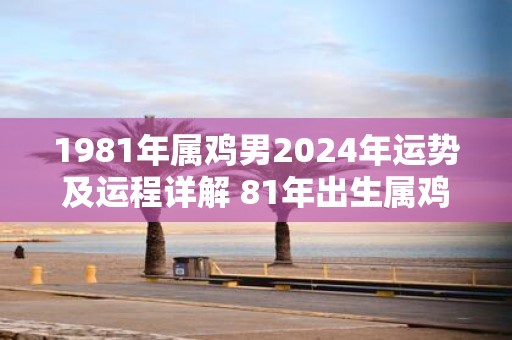 属鸡人2024年运势及运程详解 2024年鸡的人全年每月运程