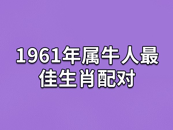 生肖守护神雨眸_生肖守护神雨眸和齐岳_生肖守护神雨