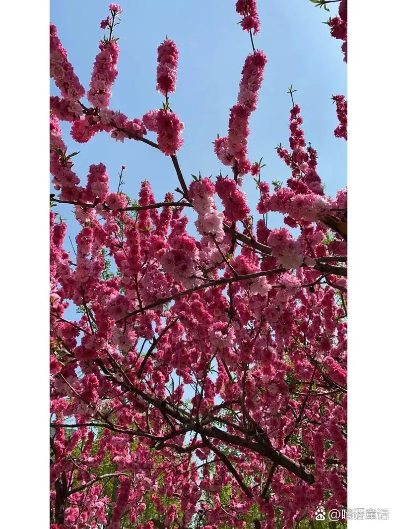 做梦梦见捉鱼是什么意思_做梦意思梦见捉鱼是什么预兆_梦见捉鱼是什么兆头