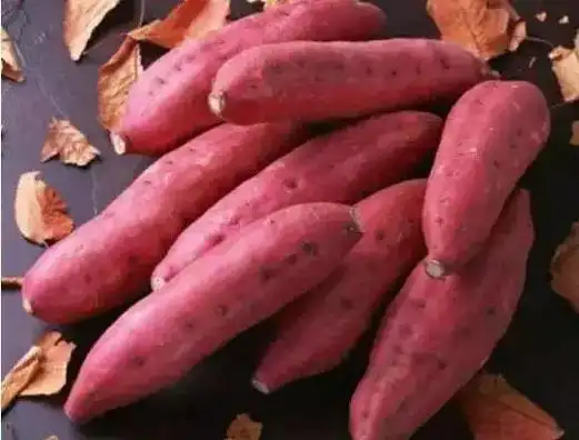 起个果蔬店名字_果蔬店起名_果蔬店名大全