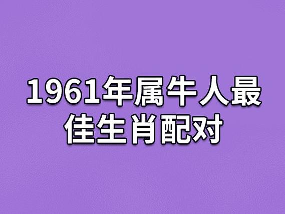 12生肖属相配对查询 十二生肖的最佳配偶