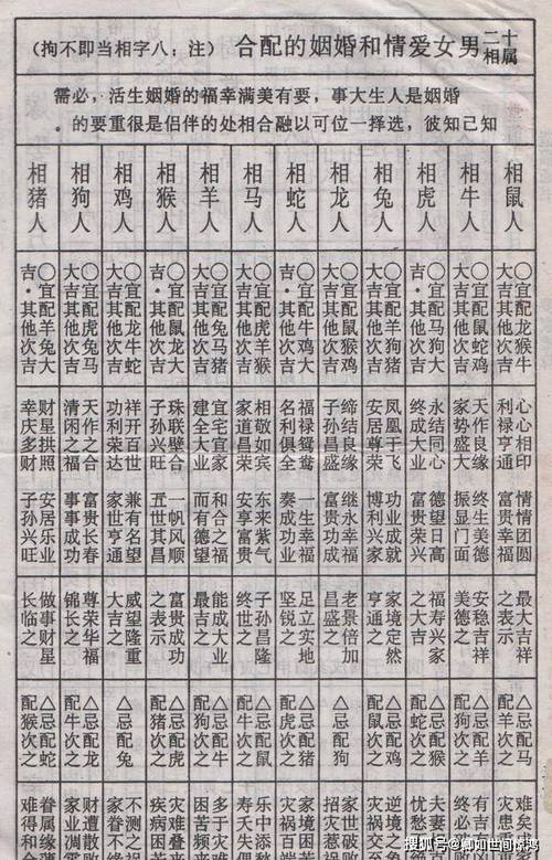 命理八字揭秘：哪些女命能够拥有幸福婚姻和优质伴侣？