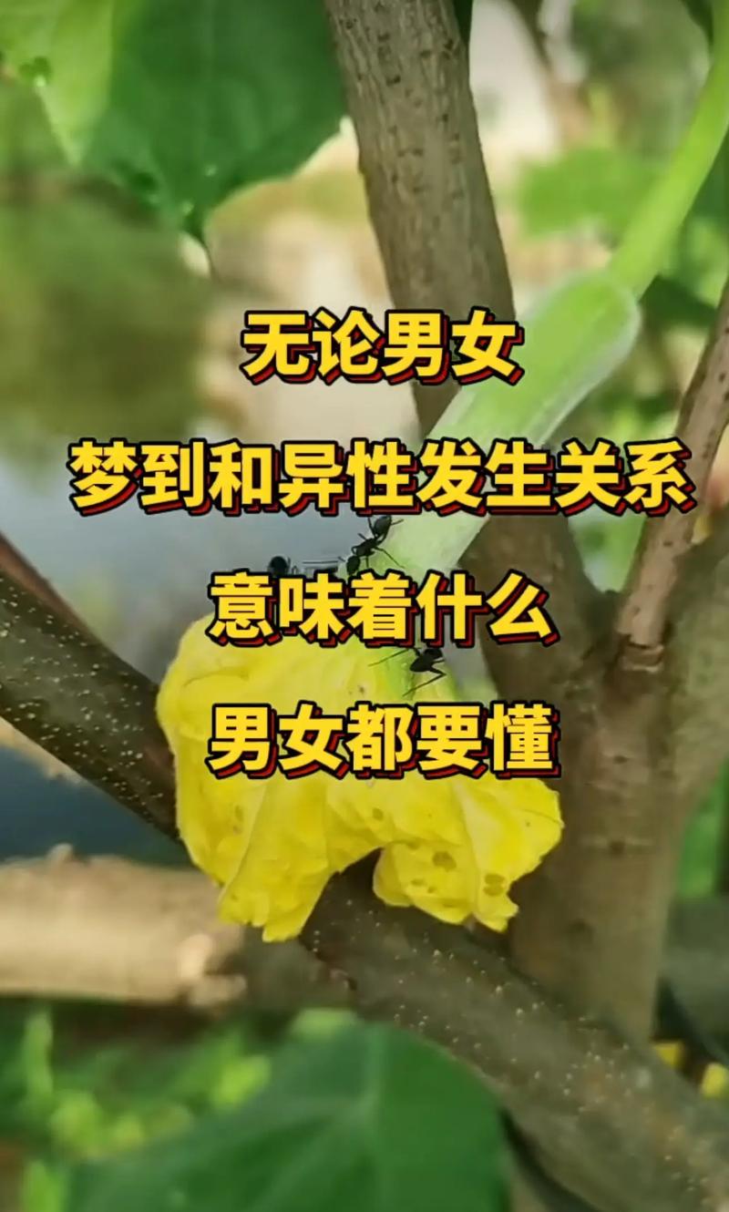 做梦梦见自己被炒鱿鱼_做梦炒鱿鱼梦见吃_梦到炒鱿鱼