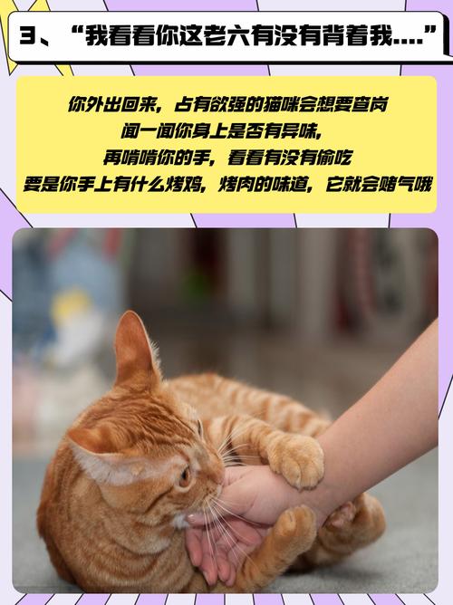 梦见小猫咬我的手_梦猫咬手出血_猫咬我梦见