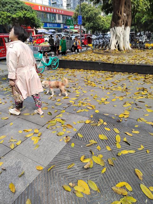 牙掉梦到_梦见自己牙掉了两颗_牙掉梦见牙掉出血是什么意思