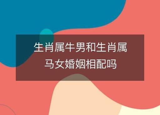 牛生肖与马生肖配对：传统生肖组合带来的好运与财富象征