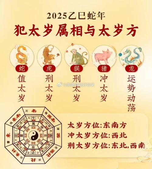 运程生肖猴_生肖运程2025运程10_生肖运势2025年运程