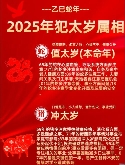 2025运程十二生肖运程_运程生肖猴_生肖运势2025年运程