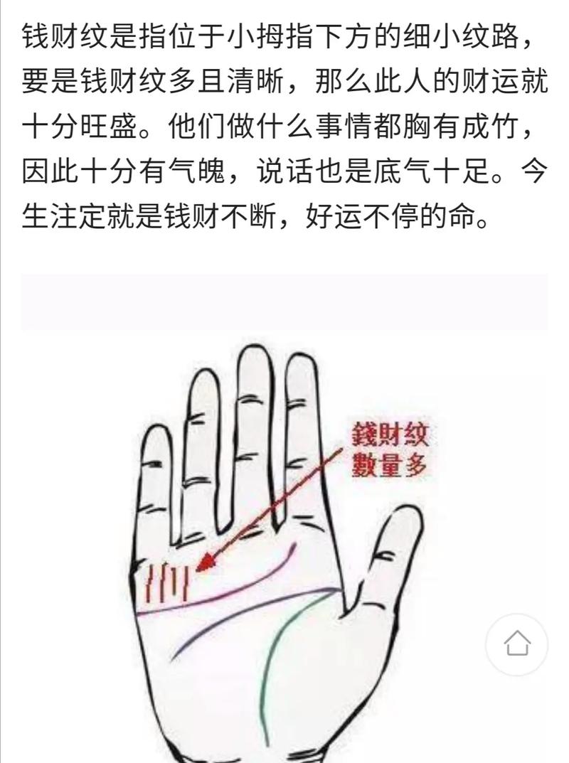 偏财运测试算命免费_测试偏财运多强_偏财运测算