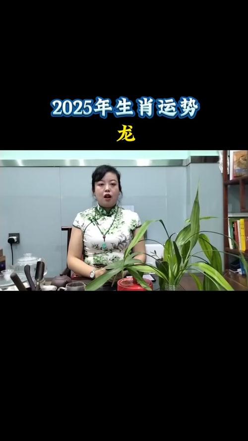 2025年属什么生肖属相_属相年份2025_2025年属相运势及运程
