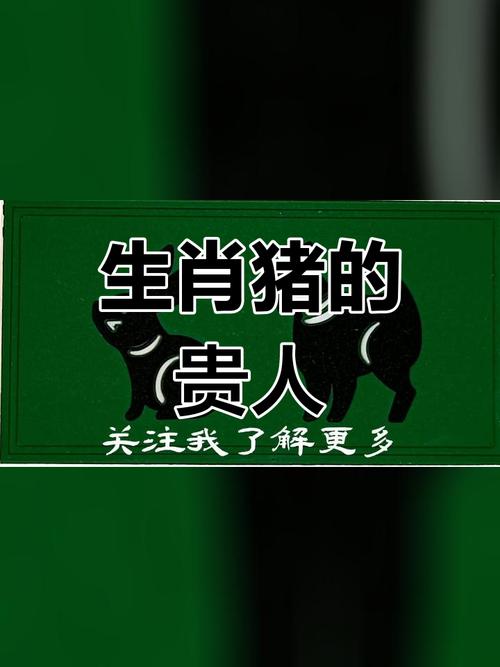 属猪的贵人是什么属相