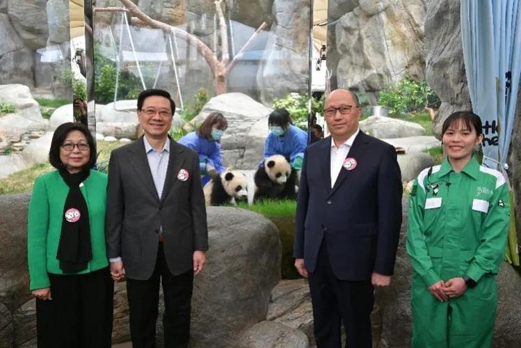 2021龙凤胎宝宝取名字大全_龙凤胎宝宝起名_宝宝起名龙凤胎名