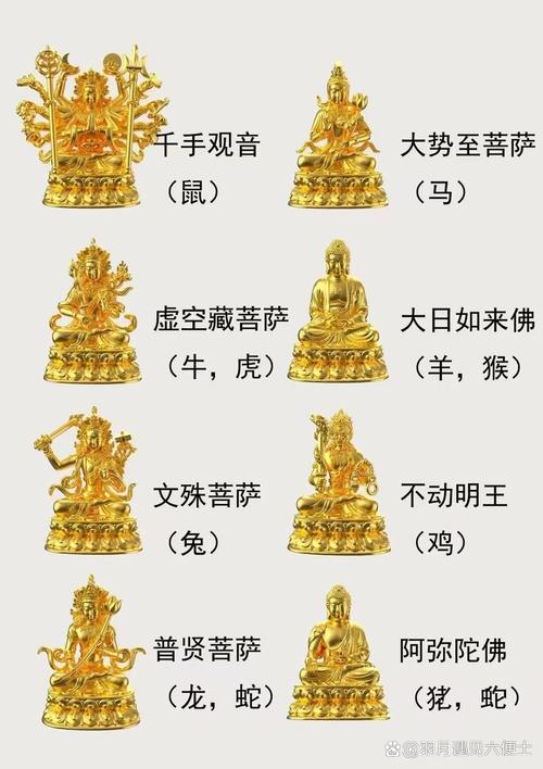 生肖守护神TXT小说下载_十2生肖守护神_生肖守护神本命佛