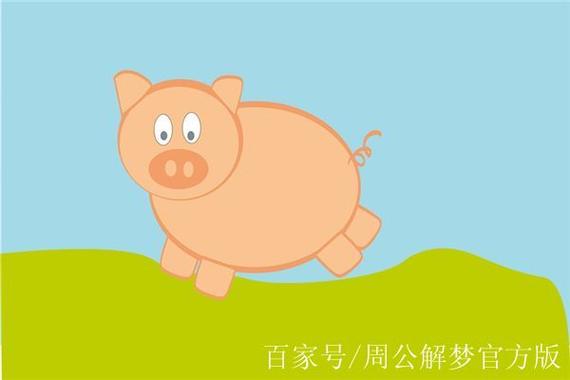 梦见杀猪_杀猪梦见猪跑了什么预兆_杀猪梦见血什么意思