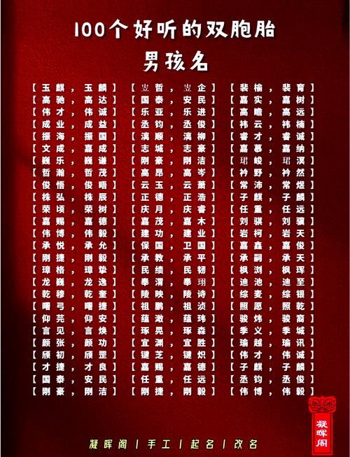 取名双胞胎男孩_双胞胎起名男孩_双胞胎男宝名字