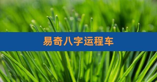 八字算命近十年运势_易奇八字查往年运势_八字查2021年运势