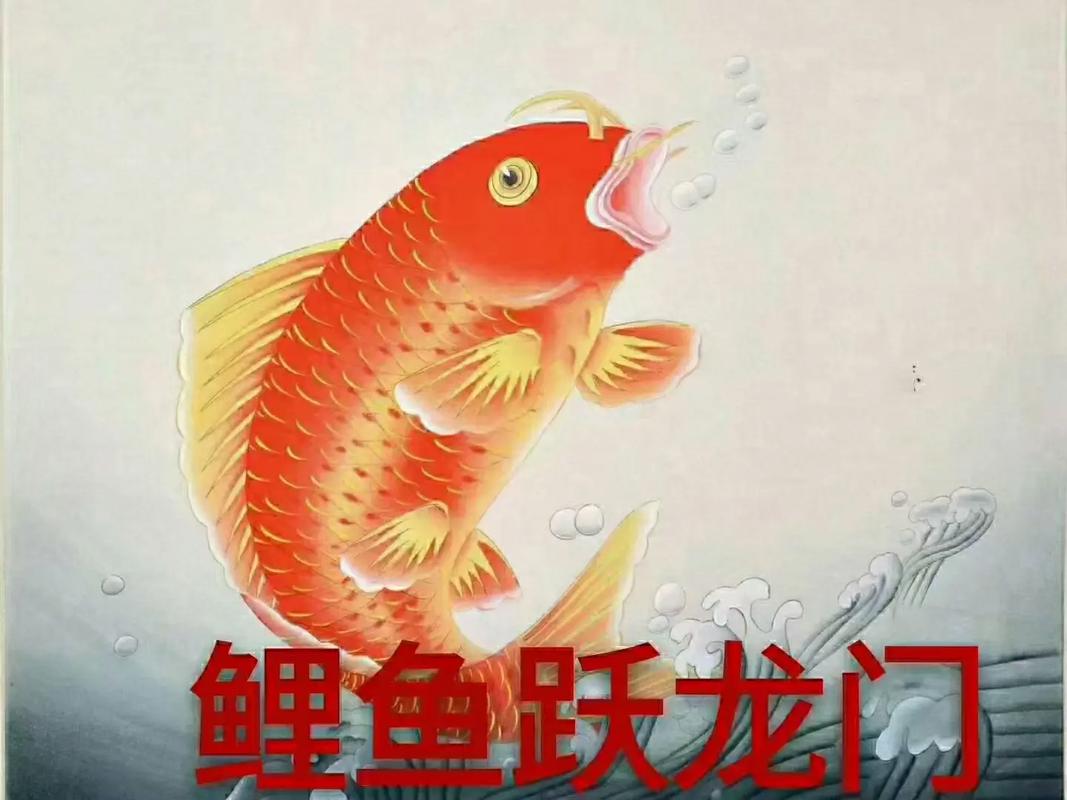 梦见放生鲤鱼解梦_梦见放生鱼_放生鲤鱼梦境解析