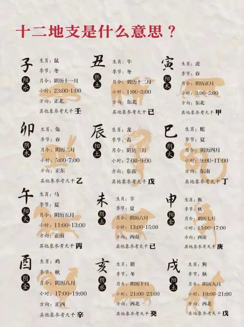 出生年月与五行对照表，年月日时辰与五行天干
