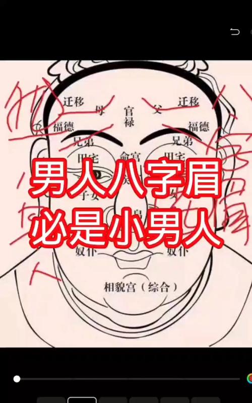 八字眉的人命运怎么样_八字眉男人婚姻适合度_八字眉男人性格命运分析