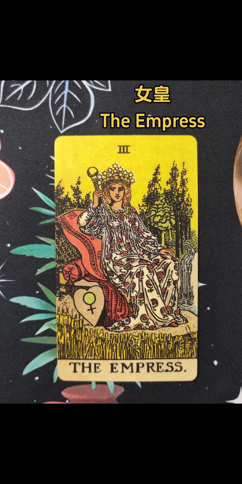 塔罗牌女皇解读方法_女性生命力象征_the empress塔罗牌