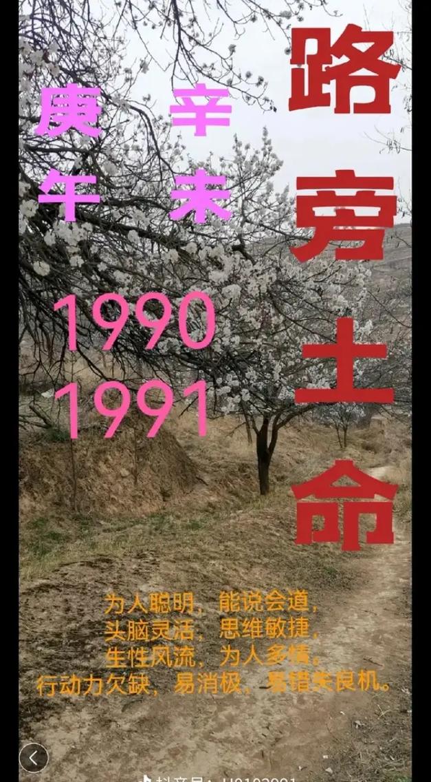 路旁土命详解