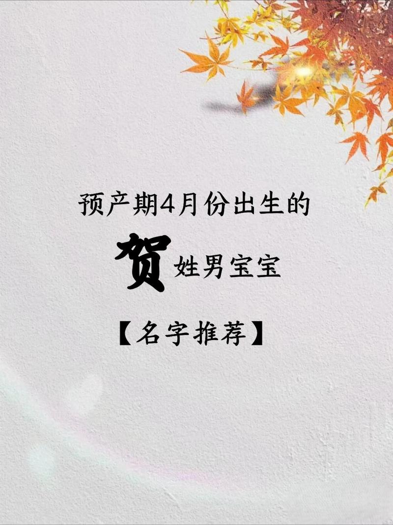 道破天机:姓贺男宝宝生辰八字起名