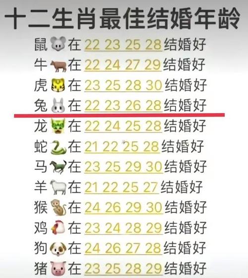 99年属兔性格特点_1999年属相是什么生肖_1999属什么兔