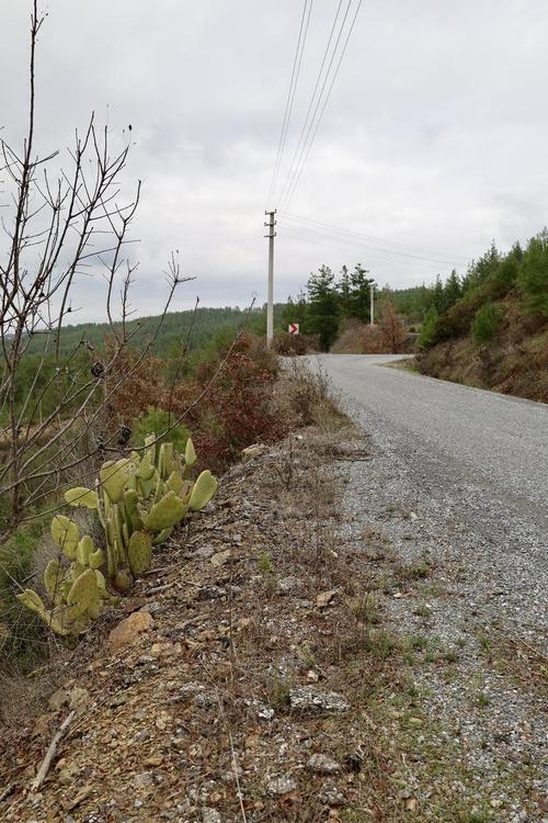 属马路旁土命戴什么东西好_路旁土命最旺饰品_火属性饰品催旺运势