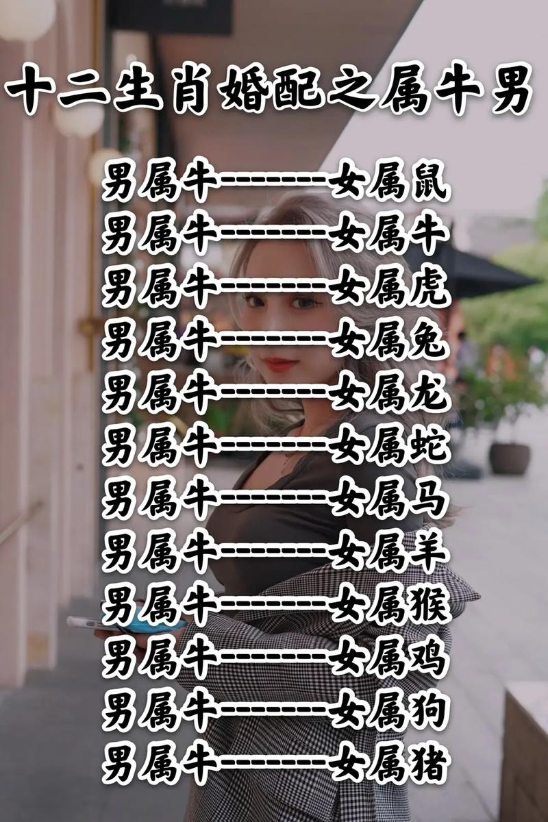 97年属牛男最佳配对属相_属鼠女配属牛男婚姻分析_1983年属什么生肖属相