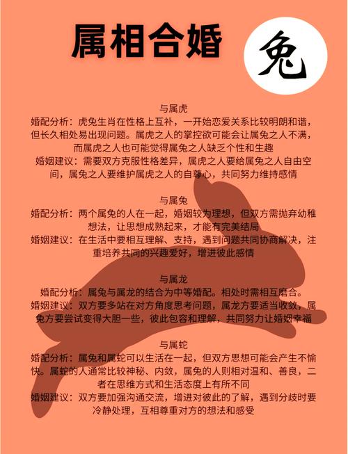 87年属兔最佳属相配对_生肖属兔的属相婚配表_87年属兔婚配表