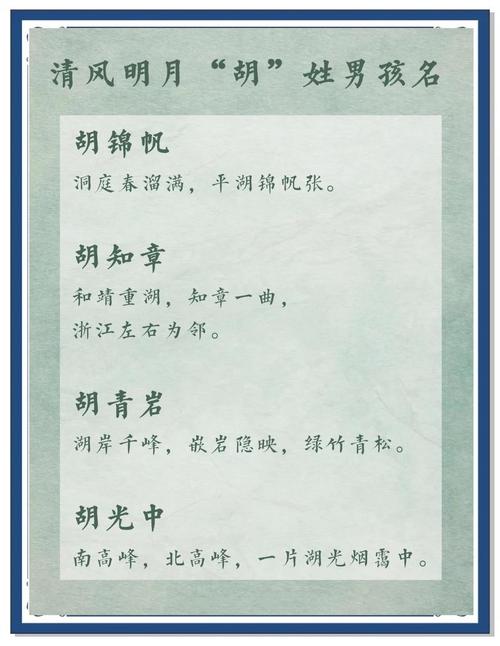 胡姓男孩起名_胡姓男孩起名100分_寓意丰富