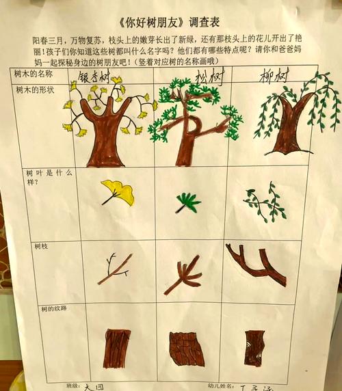 神奇:开幼儿园可以起名为成长树吗