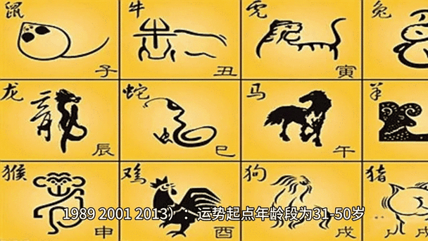 2025年1月9日生肖运势分析 _2025年1月9日老黄历 宜忌 _2025年十二生肖运程