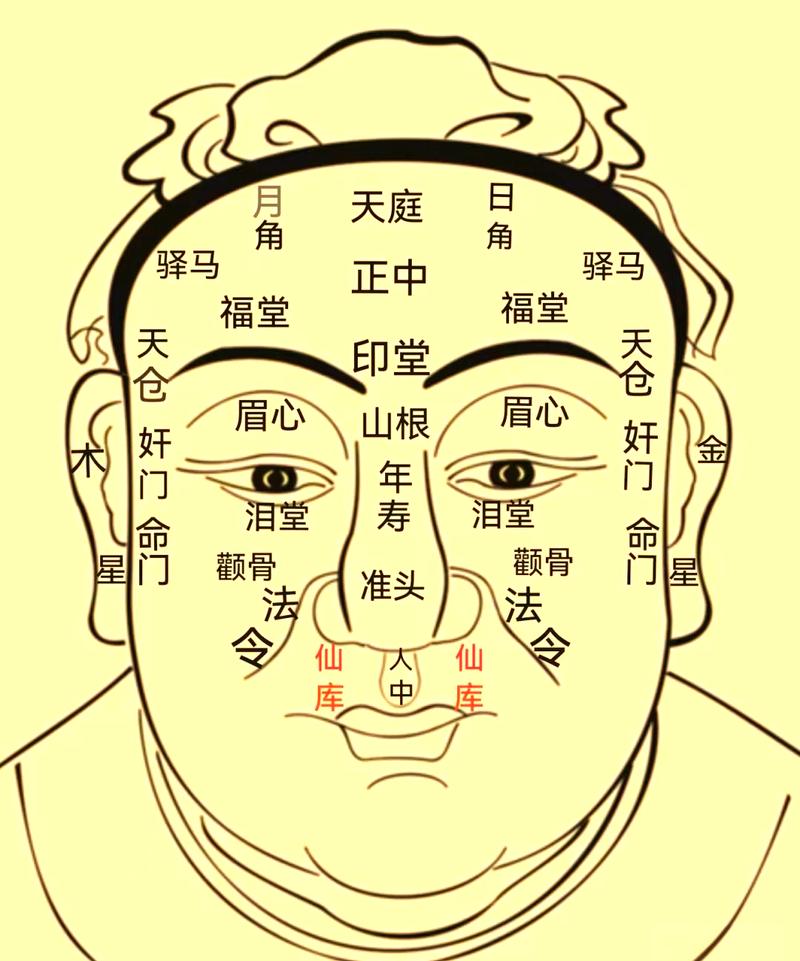 占卜算命女图片大全_面相鼻子吉凶_鼻相财运分析