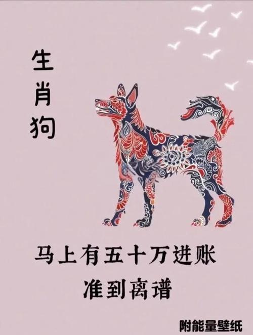 生肖属相运势_属狗人财运机会_属狗人健康意外预防