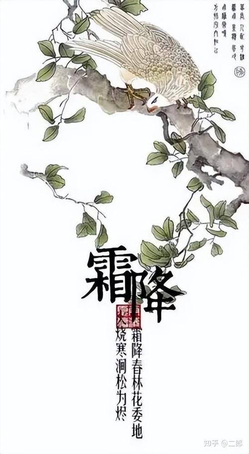 生肖马霜降节气健康问题_生肖马2025年霜降运势_2025年12生肖属相财运