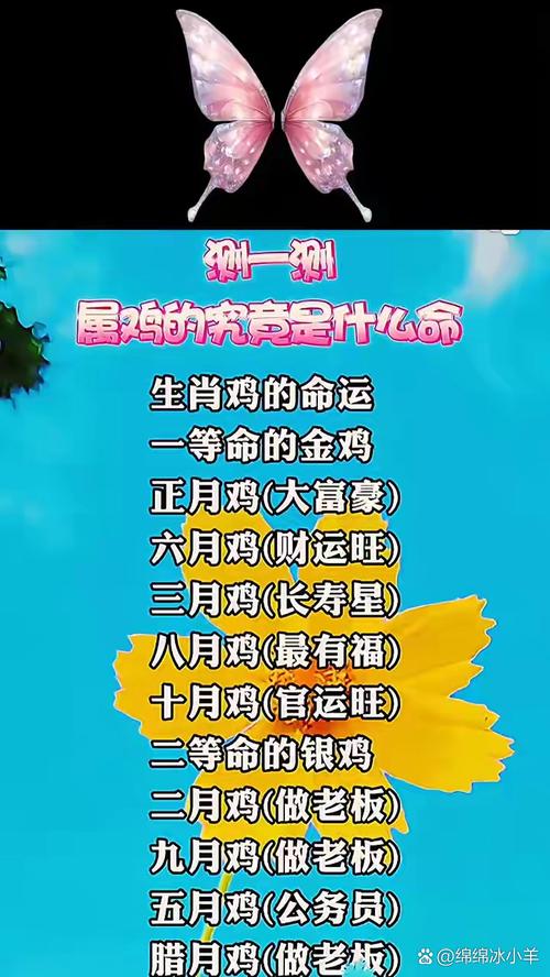 财运测算_属鸡的2022年运势_属鸡2022年财运