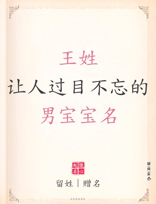 不得了:王姓属猴男孩名字大全