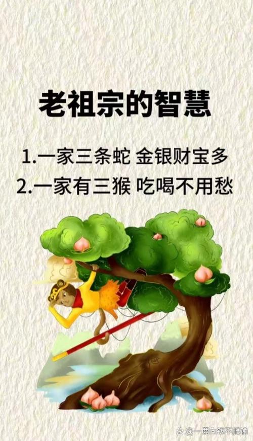 1992年属相是什么生肖_92年属猴渡劫期_92年猴前半生困境