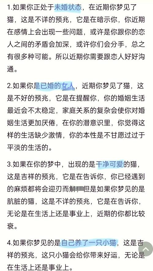 背后的故事:梦见猫的解读与含义