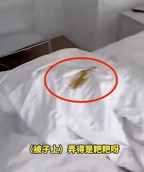 很神奇:梦到带着被子上公厕粘上屎
