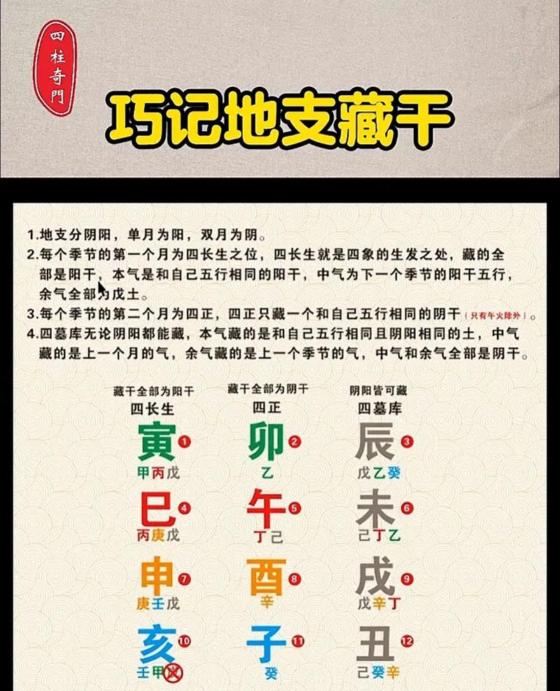 干支符号化误区_八字干支自然韵律_五行天干地支对照表