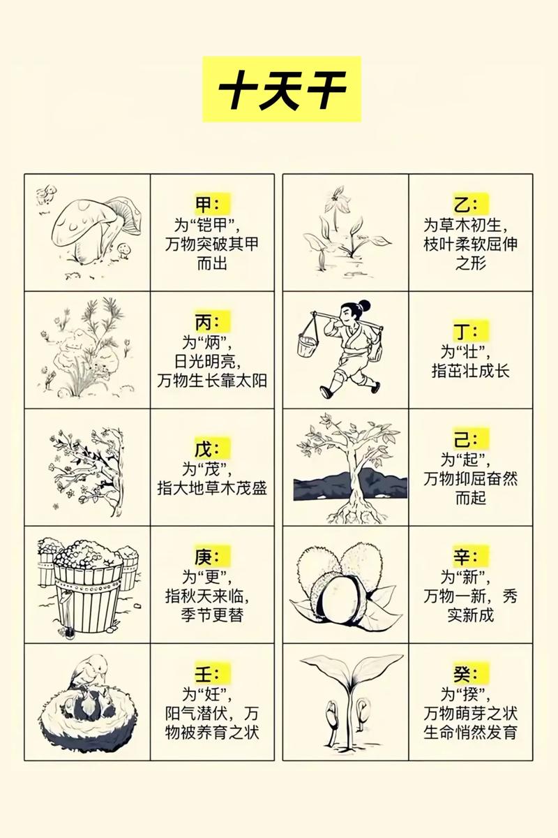 五行天干地支对照表_十天干五行属性_天干地支含义