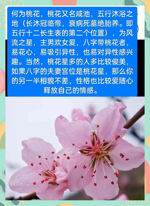 很不错:在2020年桃花旺盛的八字