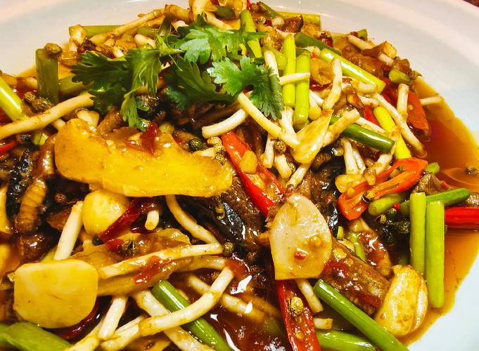 经典:百年川菜传奇（1860-2010）之十五： 教授从厨小雅轩