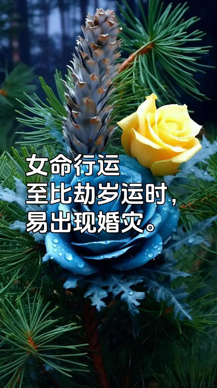 意外:女命走比劫大运会怎样,身弱官杀旺走比劫大运